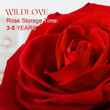 WILDLOVE Preserved Real Rose with I Love You Necklace - AZ Depot Express