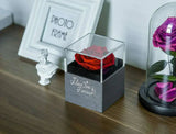 WILDLOVE Preserved Real Rose with I Love You Necklace - AZ Depot Express